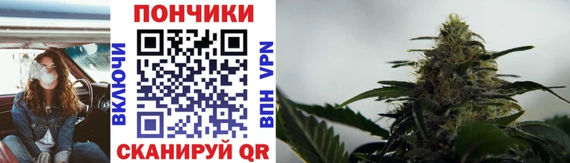 дарк нет формула  Артёмовский  Канабис OG Kush  купить  